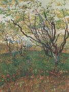 Vincent Van Gogh Orchard in Blosson (nn04) china oil painting artist